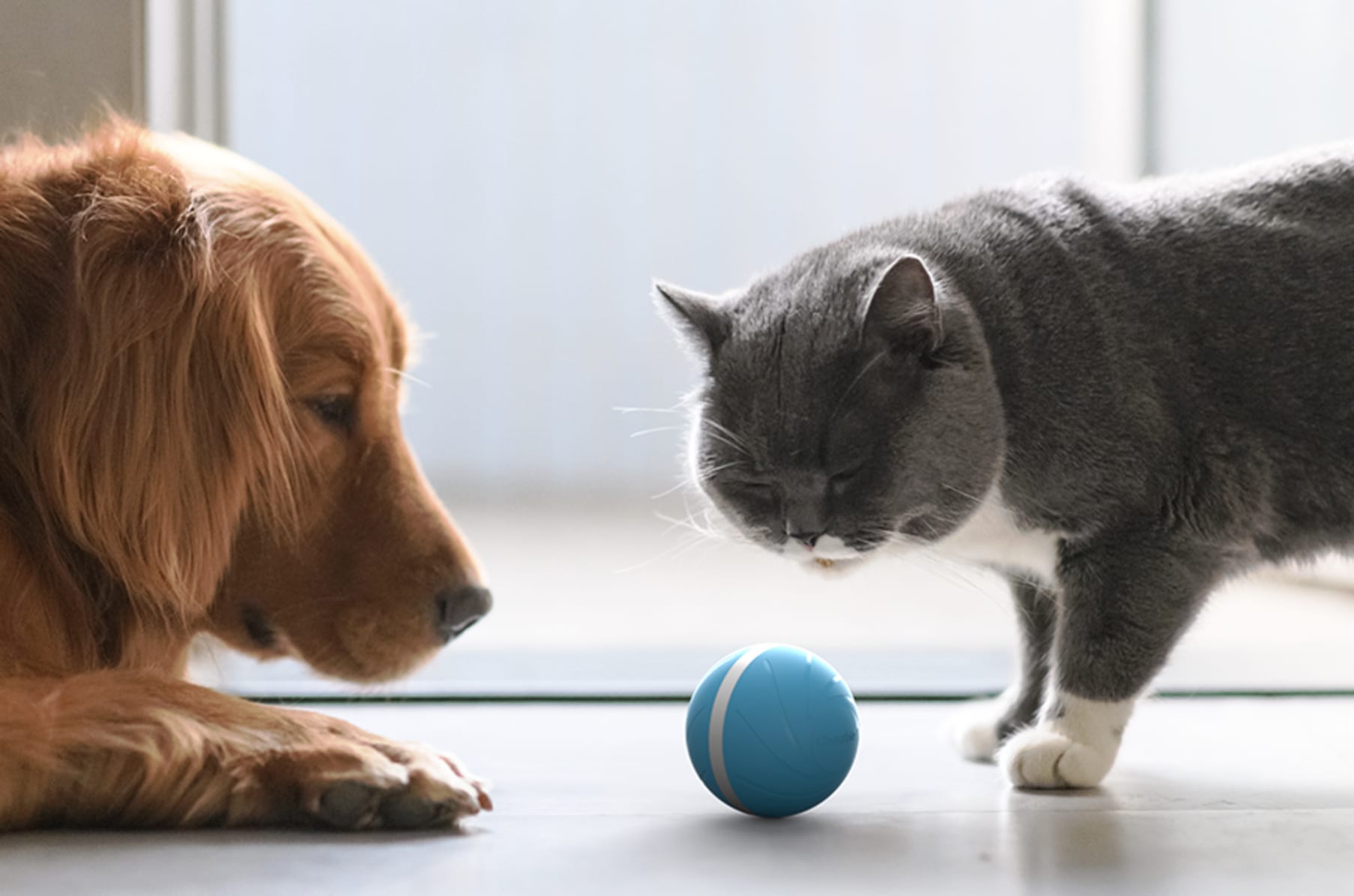 Ball für Katzen Smart Cheerble