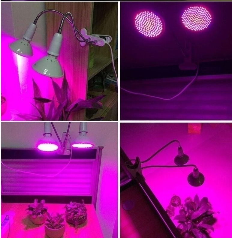 Kunstlicht für Pflanzen