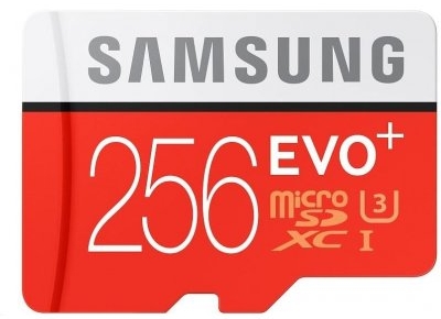 256 GB Micro-SD-Karte
