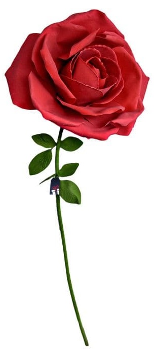 XXL Riesenrose – Rosen als Geschenk für die Frau