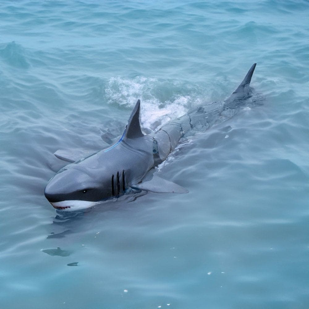 RC-Hai zum Fernsteuern ins Wasser mit Controller