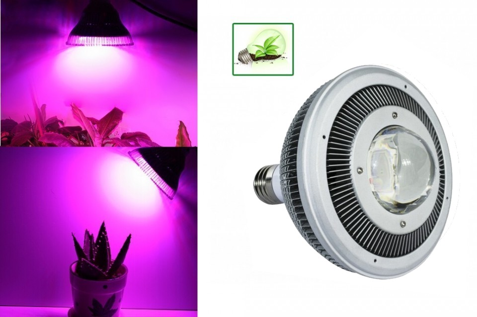 HCDMRE Led wachsen Lichter für Zimmerpflanzen P450 450W Led wachsen Licht für Zimmerpflanzen 