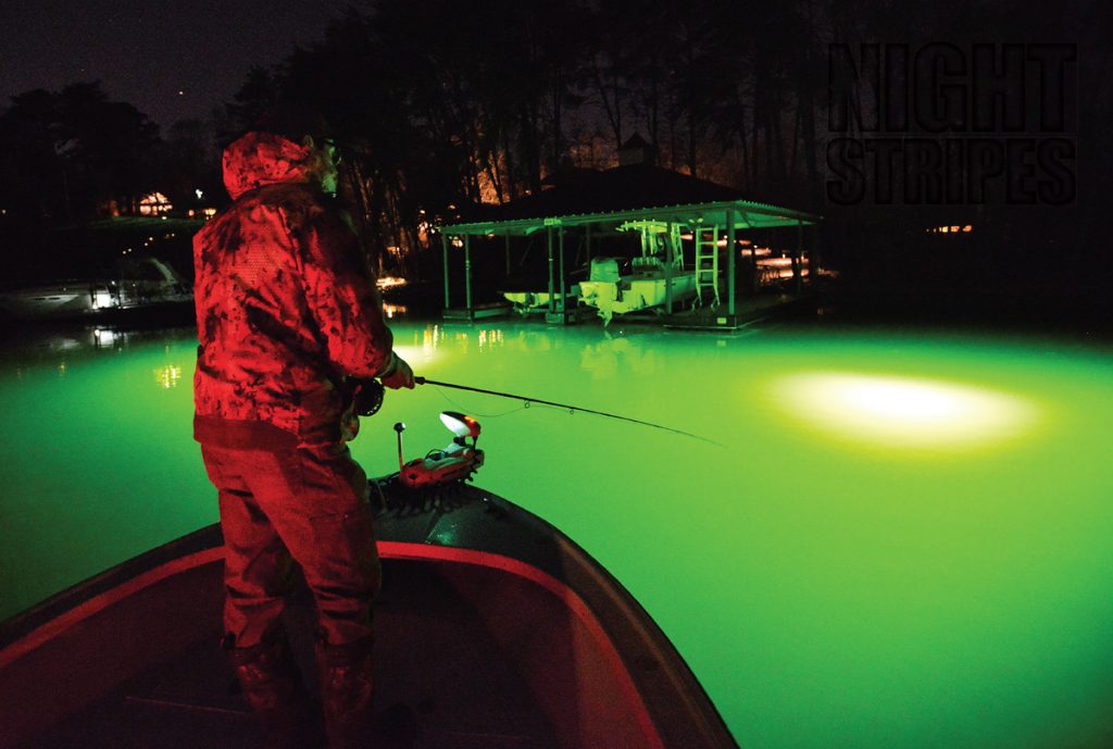 Fisch hellgrün - Angeln mit grüner LED unter Wasser