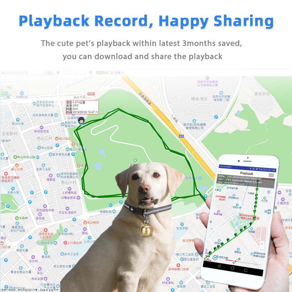 Hunde Tracker Halsband GPS Tracker