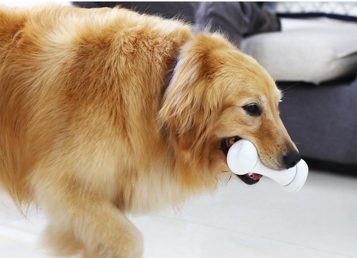 intelligentes Knochenspielzeug für Hunde böser Knochen