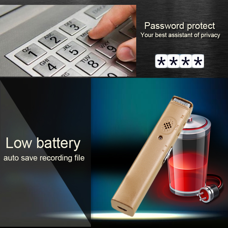 Diktiergerät mit Passwortschutz und Batterieanzeige